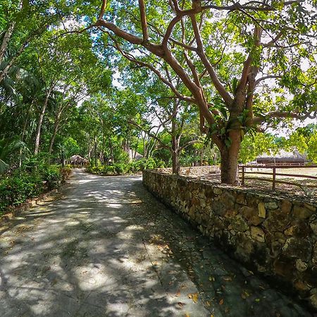 The Mayan Garden Orange Walk 外观 照片